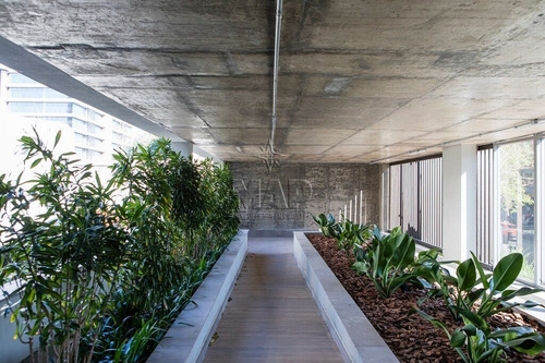Studio - Tristeza - Ref: 1835 - V-150710