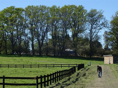 Sitio En Venta En Casma, Frutillar