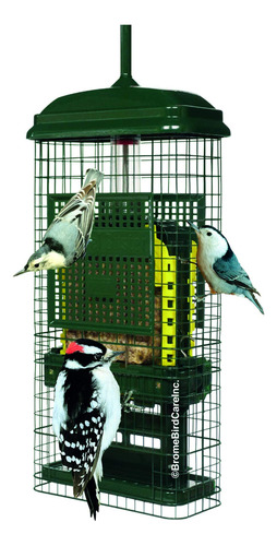 Comedero Para Pájaros Sebo A Prueba De Ardillas Verde