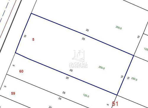 Terreno À Venda, 250 M² Por R$ 750.000,00 - Parque Erasmo Assunção - Santo André/sp - Te1132