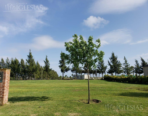 Imagen 4 de 6 de Terreno - San Gabriel