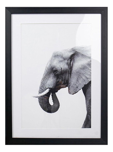 Quadro Elephant 45x60 Cm