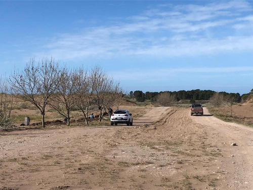 Lotes En Venta Reserva Darwin!! Balneario Pehuen Co