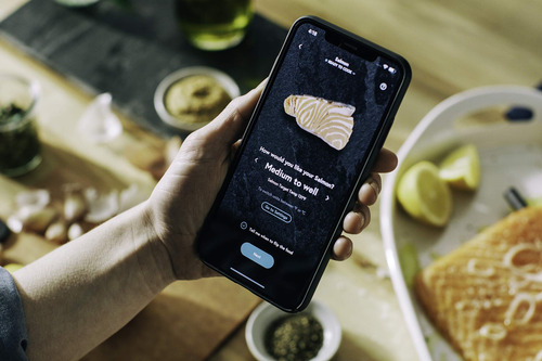 Termómetro Inalámbrico Yummly Smart Para Carne, Negro