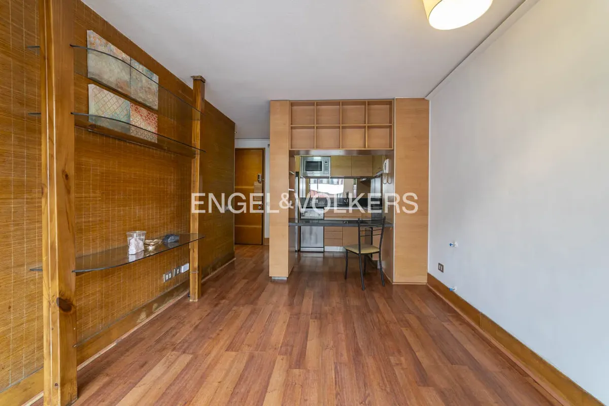 Imagen 2 de 20 de Estupendo Departamento 1d/1b En Providencia