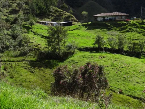 Finca En Venta La Unión Via Abejorral Antioquia. 83 Hectareas