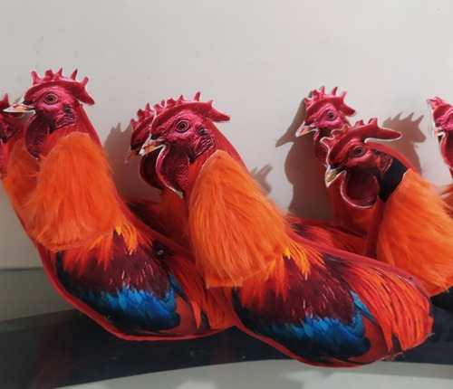 Imagen 3 de 4 de Cariador Para Entrenamiento En Gallos De Combate