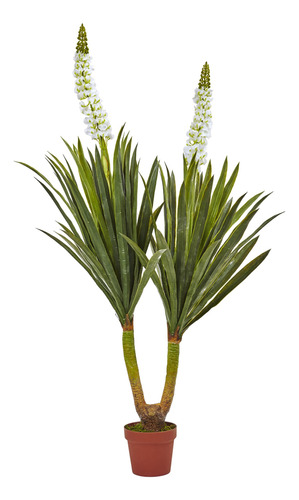 Casi Natural Floracion Yucca Plant 57 