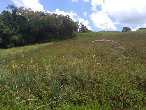 Imagem 23 de 30 de 20o Terreno A Venda Para Investimento