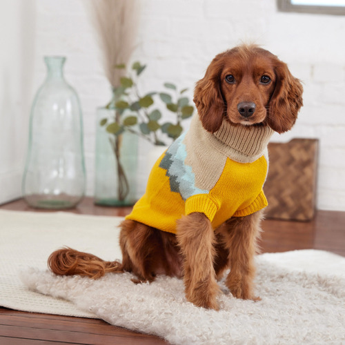 Buzo Abrigo Campera Ropa Perro Small Medium Large Cocooning Color Yellow Extra Small 5624