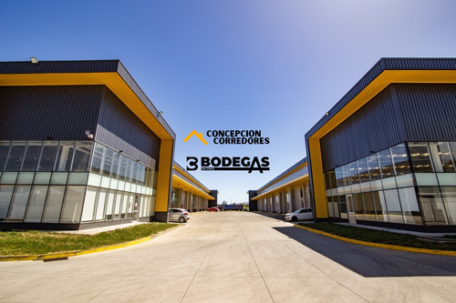 Arriendo Bodega De 309,01m2 Sector Padre Las Casas, Temuco
