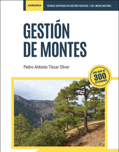 Libro Gestion De Montes - Martinez Rueda, Jesus