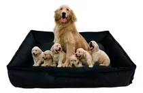 Comprar Cama Sofá Antialérgica 120cm X 99cm Perros Raza Grande