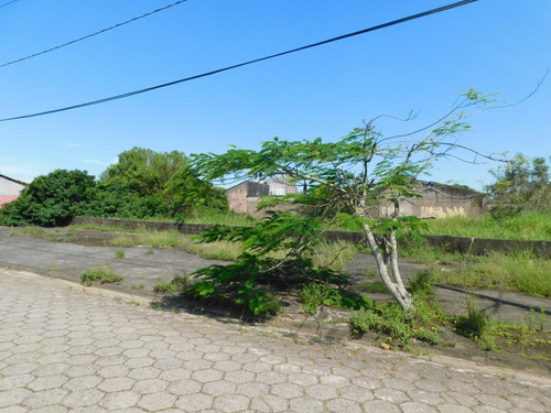 Imagem 6 de 6 de 2(dois) Lotes Av. Padre Anchieta Com 874,90m² Coml E Resd.