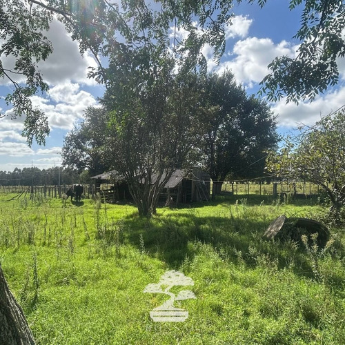 Venta Chacra Con Casa Y Galpones Florida Mp