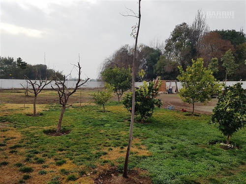 Imagen 3 de 13 de Chicureo, Las Brisas Norte Colina