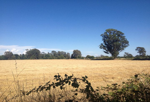 Temuco  /  Camino Labranza