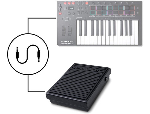 Imagen 3 de 4 de Pedal Teclado Sustain M-audio Sp-1 Pianos