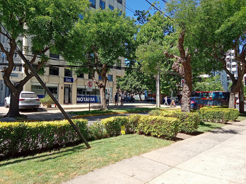 Arriendo Departamento 10 Norte Con Av. Libertad 3 Dorm 3 Bañ