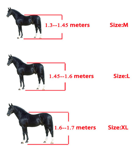 Pu Tendón Y Fetlock Cepillado Delantero + Trasero Marrón L