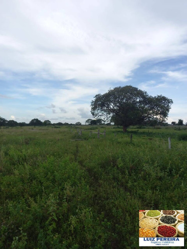 Imagem 7 de 15 de Fazenda À Venda Em Marianópolis - To - De 429 Alqueirão (dupla Aptidão) - 1682