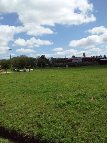 Imagen 5 de 12 de Villa Lia - 2 Lotes - 20 X 40 - C/u Cerca De La Estacion -