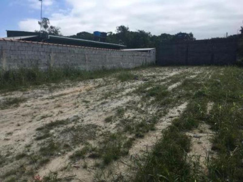 Terreno Aterrado No Gaivota Em Itanhaém - 4598 | Npc