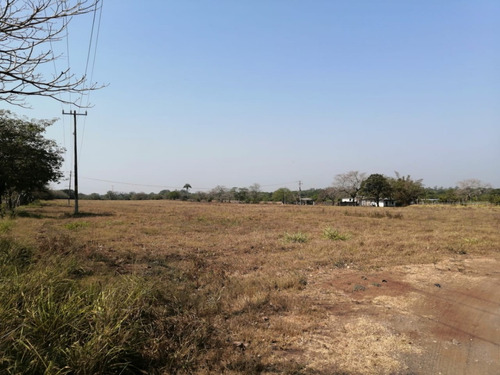 Hectáreas En Venta Veracruz Localidad El Pando, Veracruz.