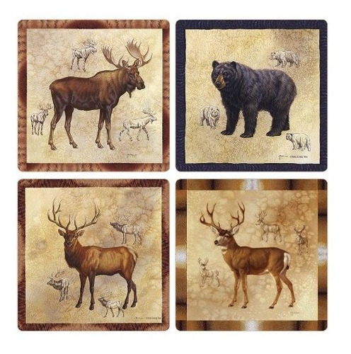 Coasterstone Absorbent Coasters, 4-1-4-inch, Rocky Mountain 