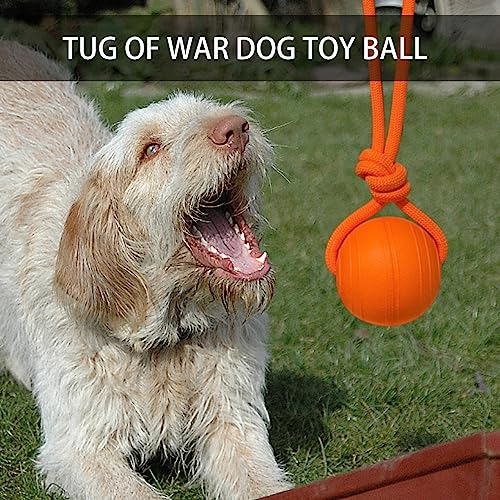 Dlder Pelota Para Perro Con Cuerda, Juguete Para Perro, Pelo