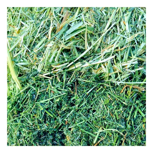 comprar Heno De Alfalfa\u002Favena\u002Ftimothy Pasto  1 Kg P\u002F Conejo Cuyo