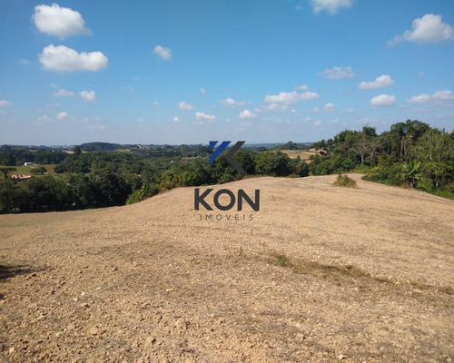 Imagem 14 de 16 de Área Industrial A Venda Em Araucária Pr - Te00004 - 68900873
