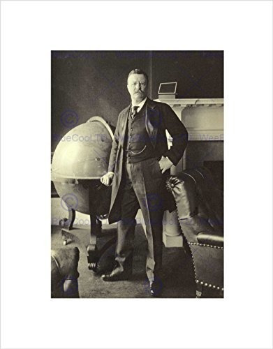 Vintage Retrato Presidente Theodore Roosevelt Lámina B12x118