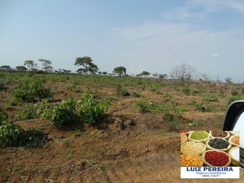Imagem 14 de 15 de Fazenda A Venda De 126 Alqueirões Em Araguacema - To, ( Agricultura ) - 580
