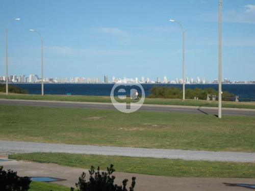 Appartment - Playa Mansa