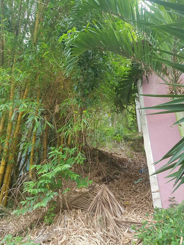 Imagem 3 de 12 de Terreno No Bairro Taquara Ci2192