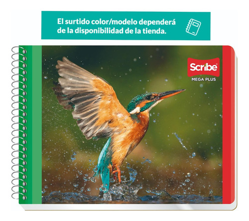 Cuaderno Italiano Scribe Mega Plus Doble Raya 100 Hojas 5 Pz