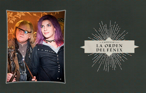 Imagen 4 de 7 de Harry Potter: Los Archivos De Las Películas Vol. 8