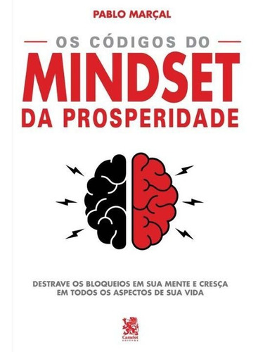 Codigos Do Mindset Da Prosperidade, O