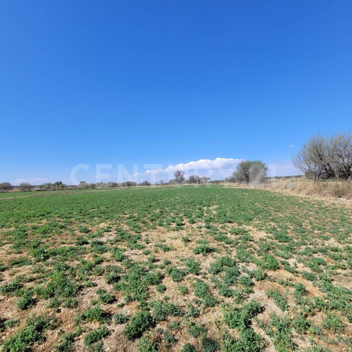 Terreno Agricola En Venta, Ejido Jaltomate, Aguascalientes