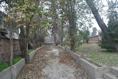 Imagen 4 de 13 de Santa Julia / Avenida México