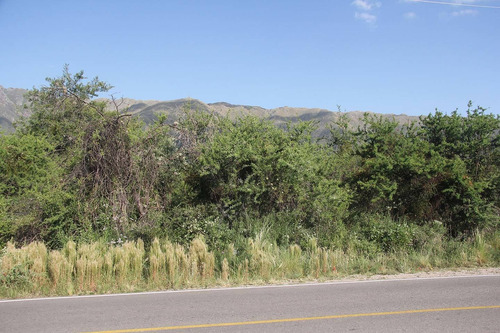 Imagen 13 de 14 de Venta De Lote En Carpinteria Sobre Av. Los Mandarinos