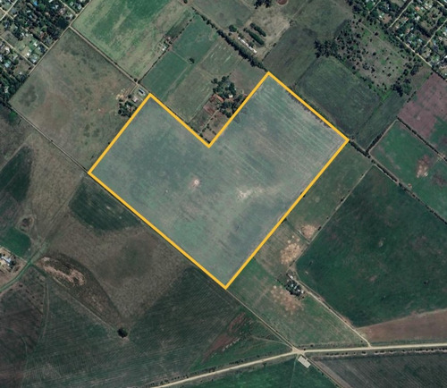Excelente Campo Agrícola/ganadero!.