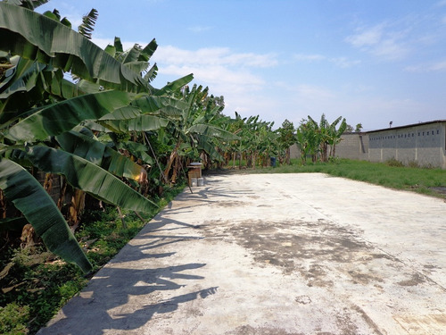 Terreno En El Mayal Cabudare