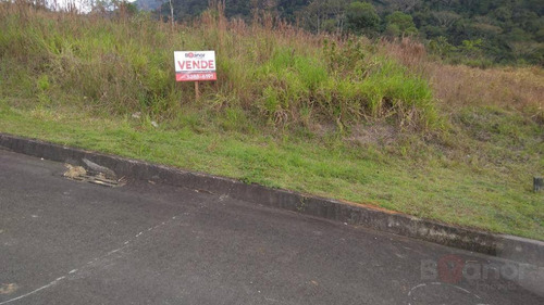 Terreno À Venda, 360 M² Por R$ 179.000,00 - Itoupava Central - Blumenau/sc - Te0312