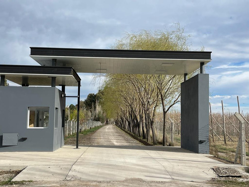Lote En Venta Barrio Las Patricias, General Roca, Río Negro