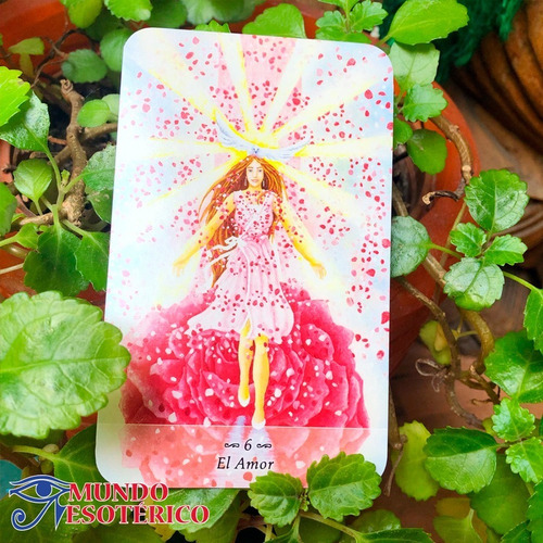 Tarot De La Individualización - Libro Y Cartas De Tarot