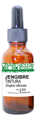 Jengibre Tintura Gotas Suplemento Extracto Natural