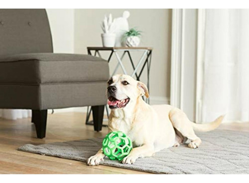 Jw Pet Tough By Nature Hol-ee Roller, Size 8, Assorted
