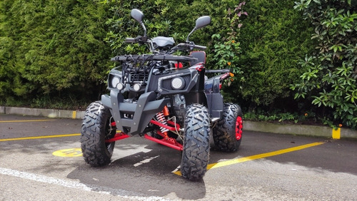 Imagen 14 de 15 de Cuatrimoto Boss 250cc